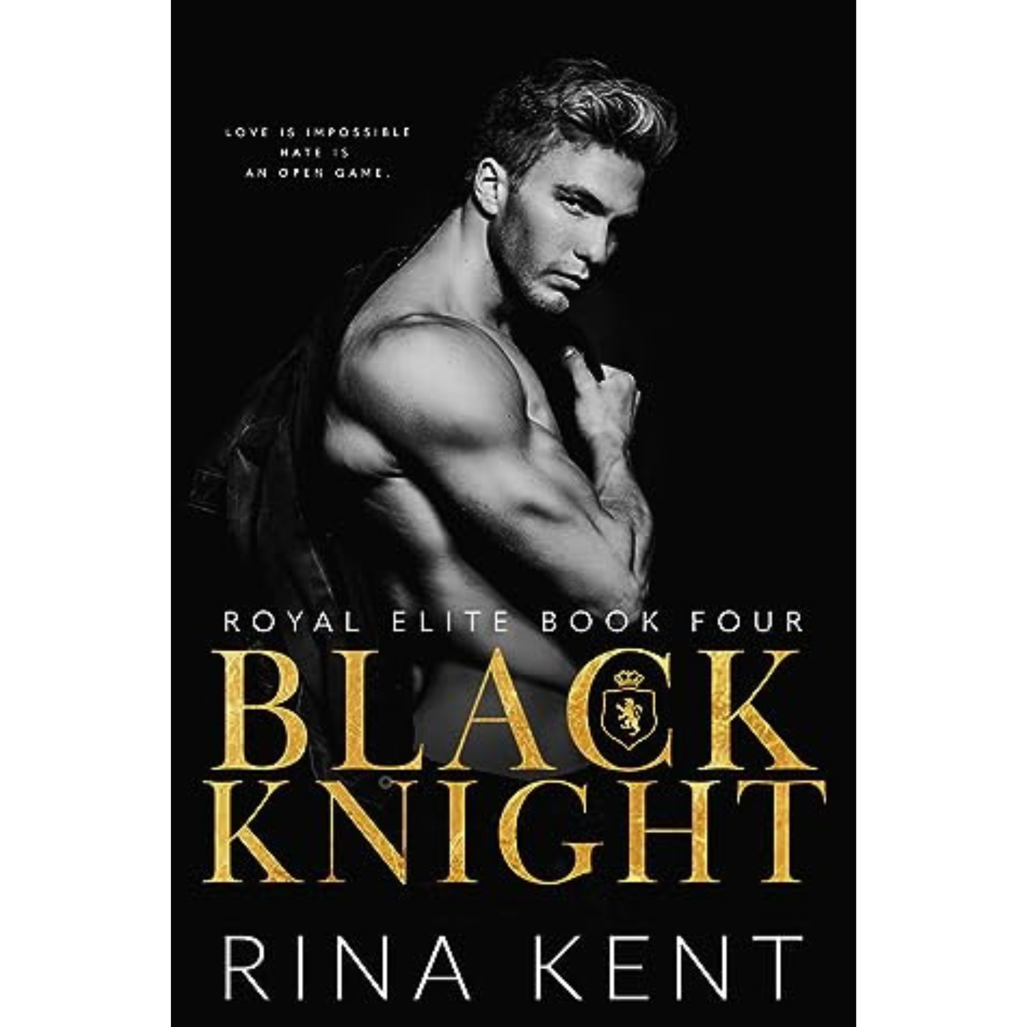Black Knight By Rina Kent