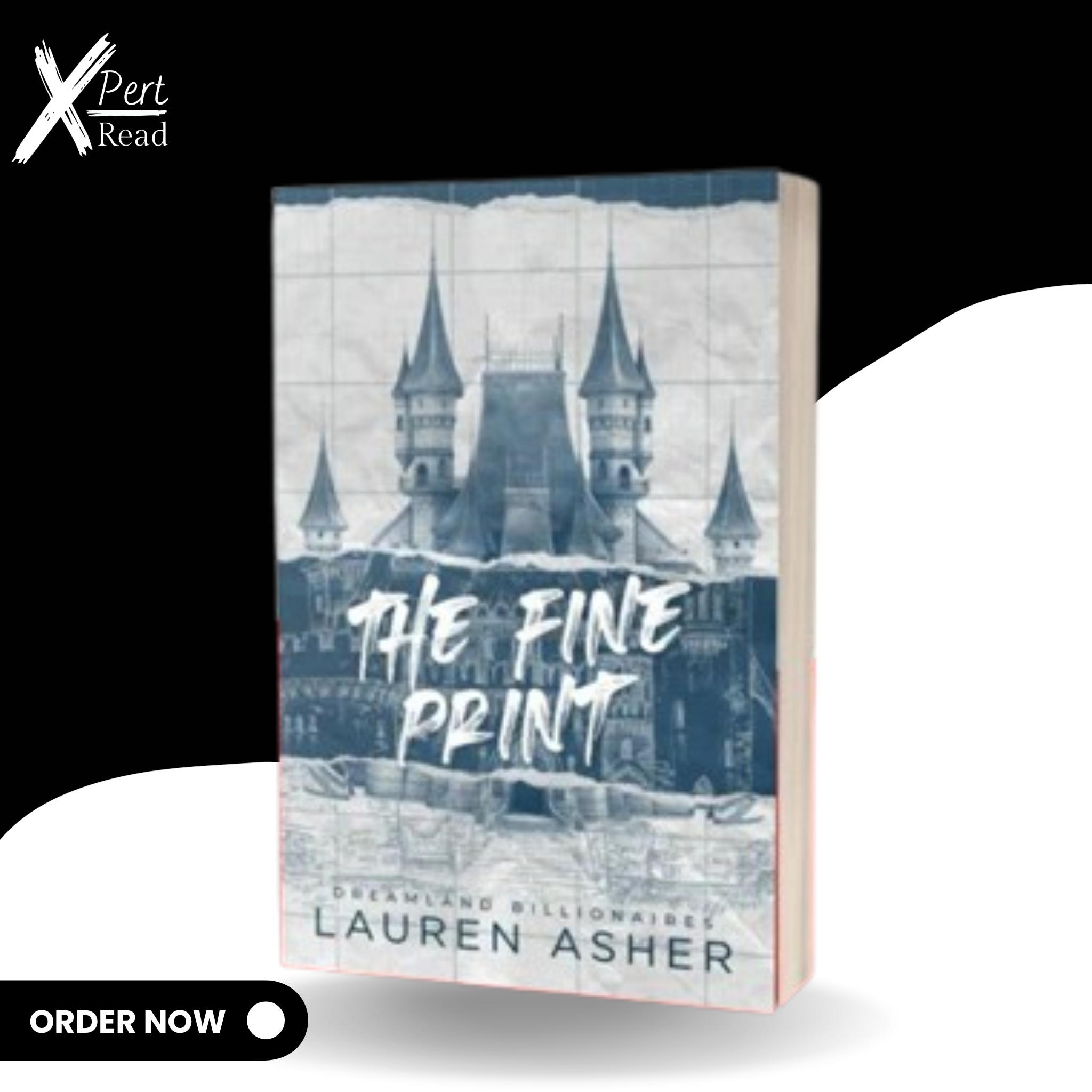 The Fine Print Book By LAUREN ASHER (Dreamland Billionaires Series Book 1/3)