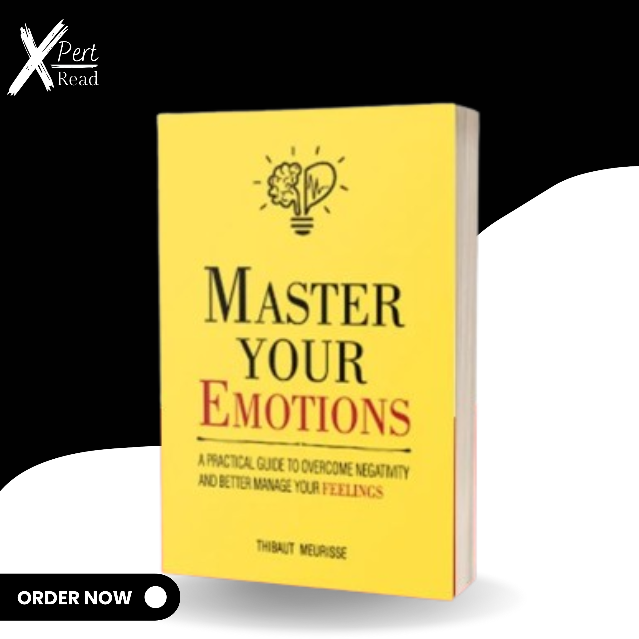 Master Your Emotions By THIBAUT MEURISSE