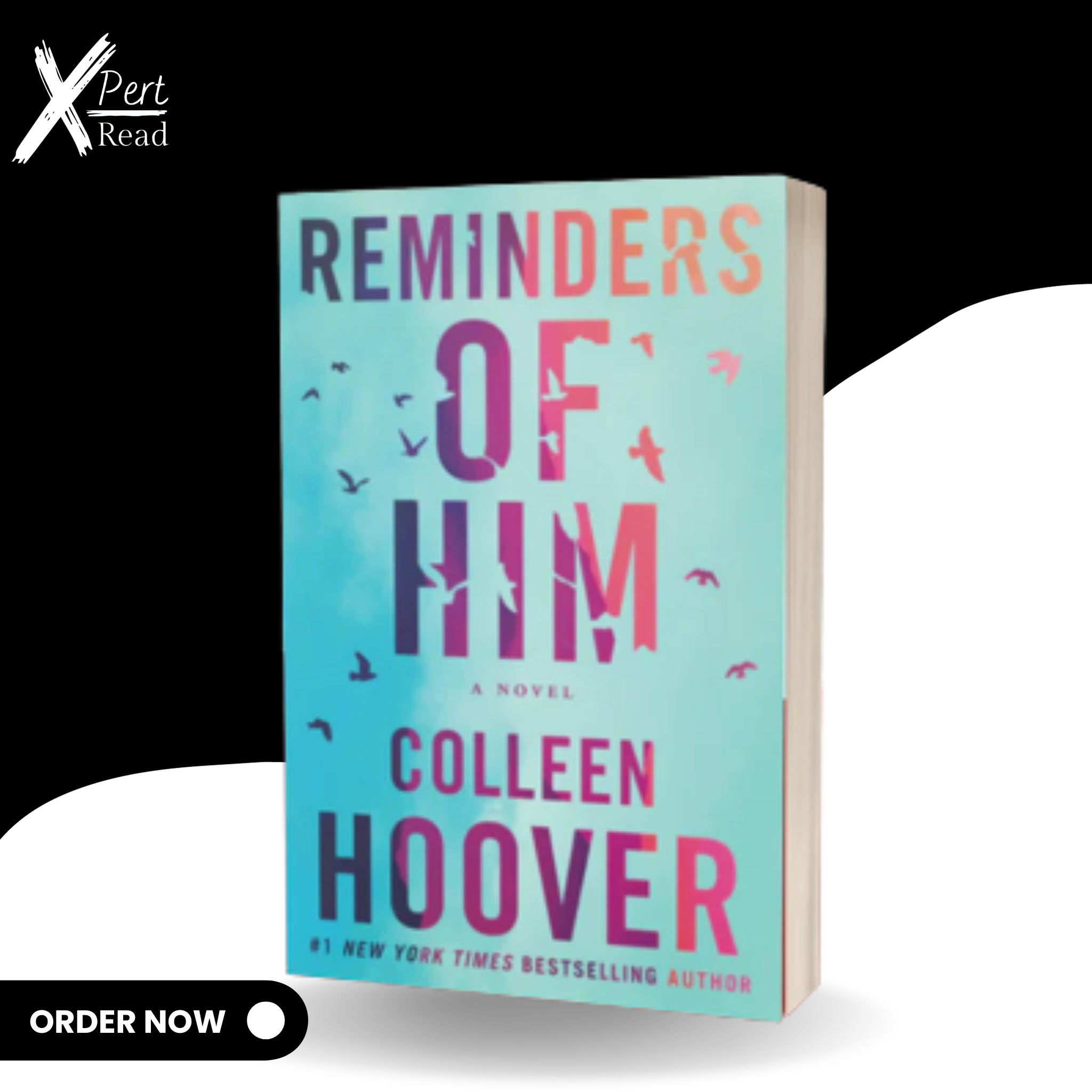 Reminders Of Him By Colleen Hoover