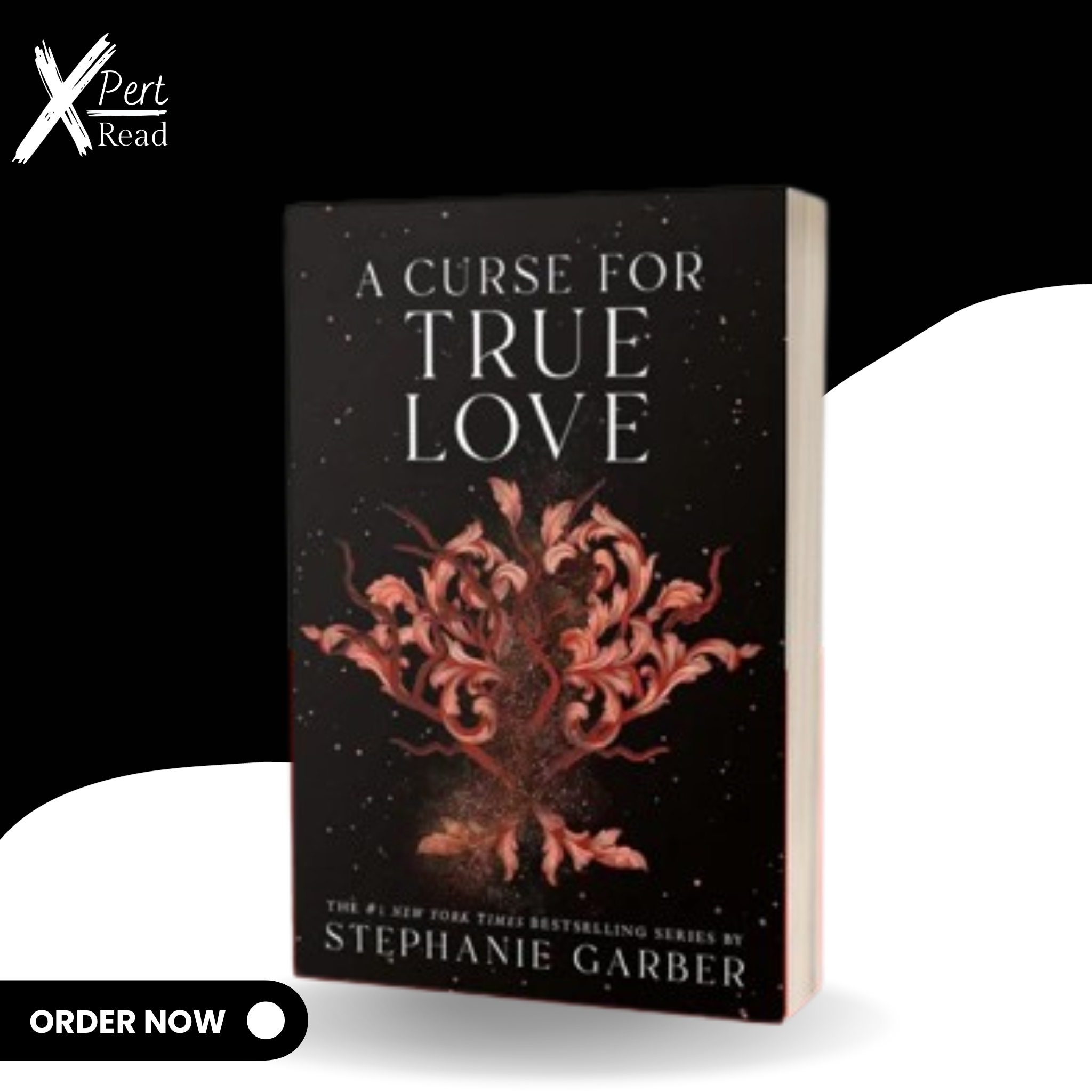 A Curse For True Love (Once Upon a Broken Heart) By Stephanie Garber